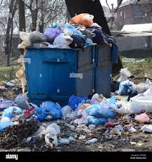 Best Yard Waste Removal  in Waverly, IA